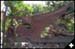 gaudi_dragon_gate