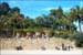 may_15_parc_guell_top2