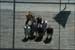 may_20_maremagnum_reflection_group_shot
