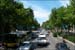 may_20_tree_lined_road