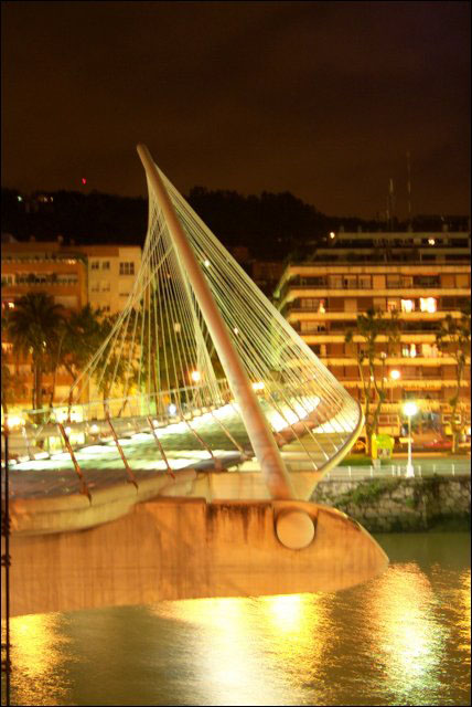 calatrava_bridge
