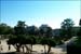 retiro_park