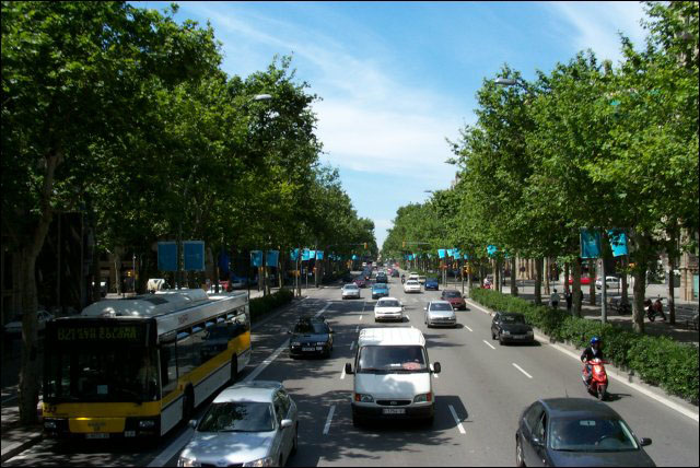 may_20_tree_lined_road